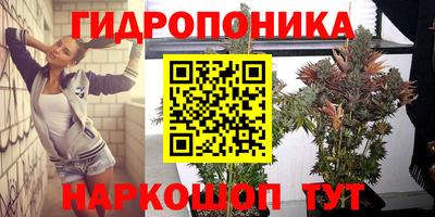 прущие крисы Кунгур