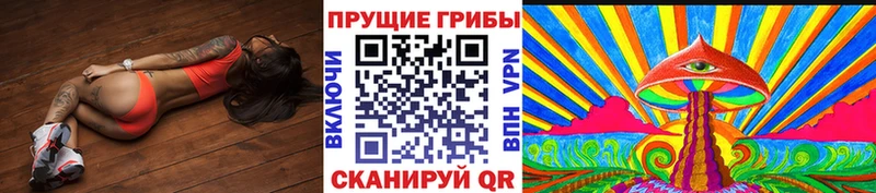где можно купить Валуйки Галлюциногенные грибы ЛСД