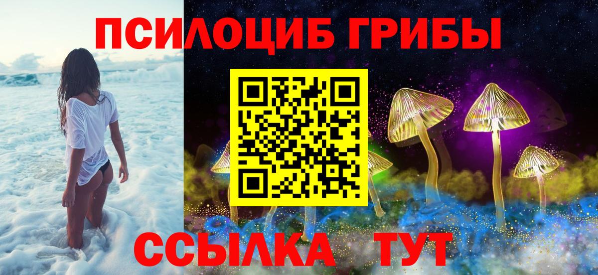 Галлюциногенные грибы GOLDEN TEACHER Валуйки