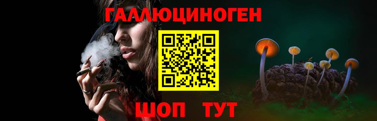 Галлюциногенные грибы Psilocybe  Вход с VPN  Валуйки 